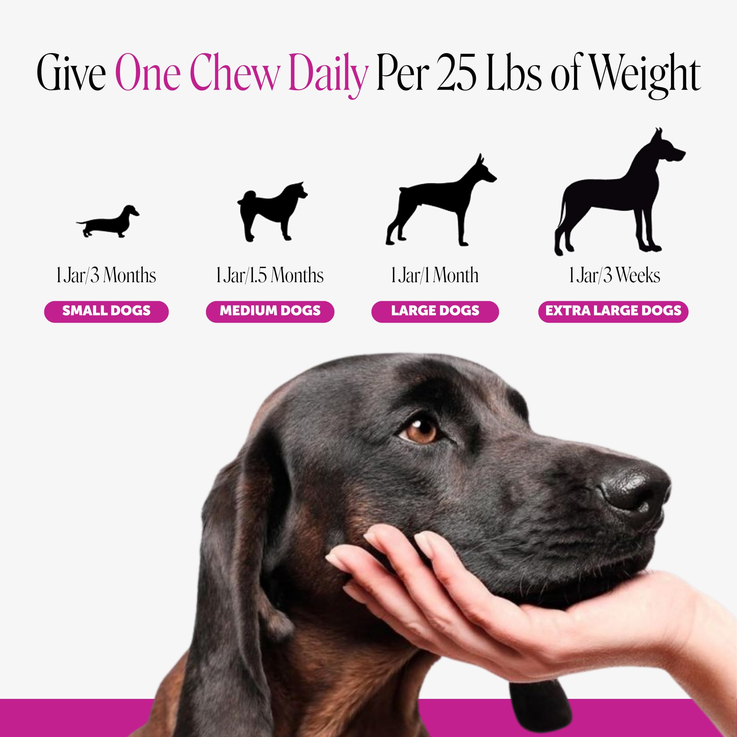 Pet Honesty Vet Recommended 10-in-1 Dog Multivitamin, 90 Ct, Peanut Butter — Amazon image 7