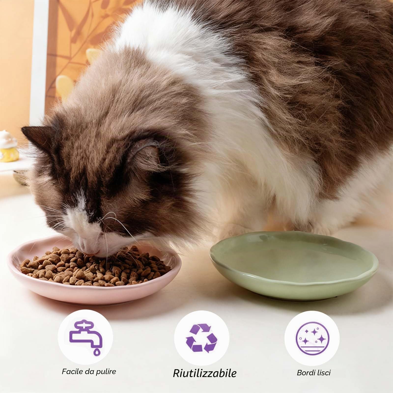 Set di ciotole per gatti in ceramica, 5 pezzi di ciotole per gatti, ciotola per cibo per gatti con fondo antiscivolo in silicone, piatto per gatti in ceramica, ciotole piatte, per gatti, gattini e