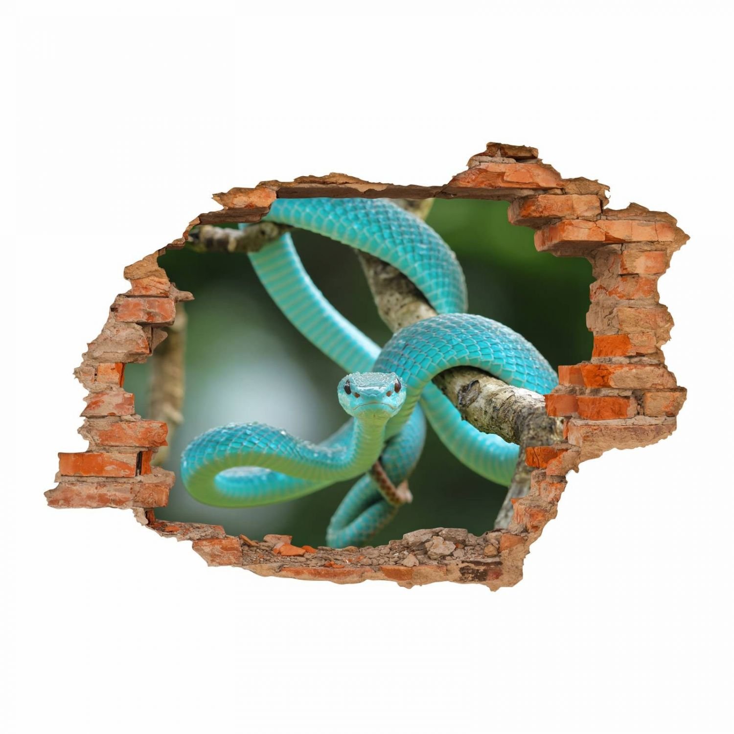 Nikima 105 - Adesivo da Parete Murale, Stickers Bambini Attacca Stacca, Motivo Serpente AST Verde/Blu, Decorazione da Parete, in 6 Misure, per Cameretta dei Bambini, Dimensioni 1750 x 1210 mm