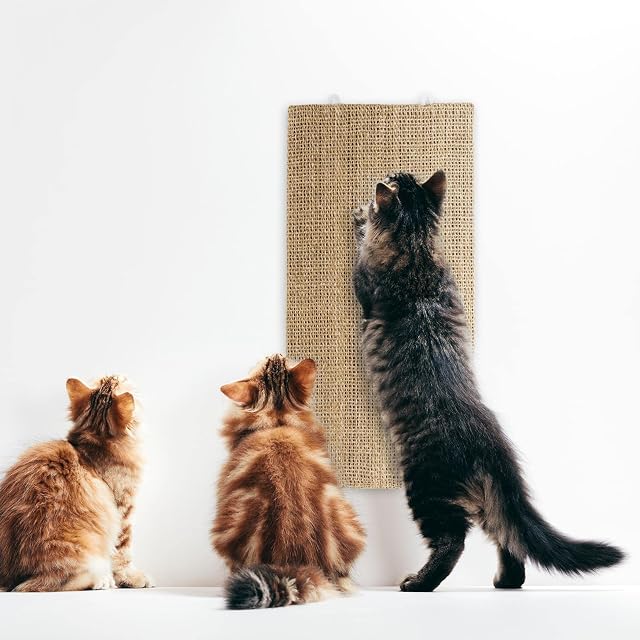 Foto 7 de 7 de KARAT Tabla de rascar para Gatos, sisal, Cuidado para Las Garras de los Animales