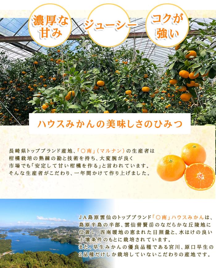 Amazon.co.jp: みかん 〇南 ハウスみかん 匠の味 13～21玉 1.3kg 糖度