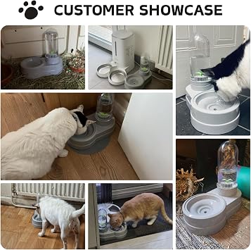 Pet Water Dispenser Station, 580ml Pet Water Feeder Automatic Water Drinking Fountain Bottle with Filter for Small Dog Puppy Cat Rabbit Small Animal (Grey)