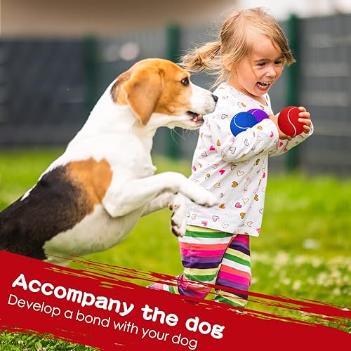 Miniatura 6 de Yunsailing 30 pelotas de tenis para perros a granel de 2.5 pulgadas para perros, mini juguete para mascotas de colores a granel para ejercicios de