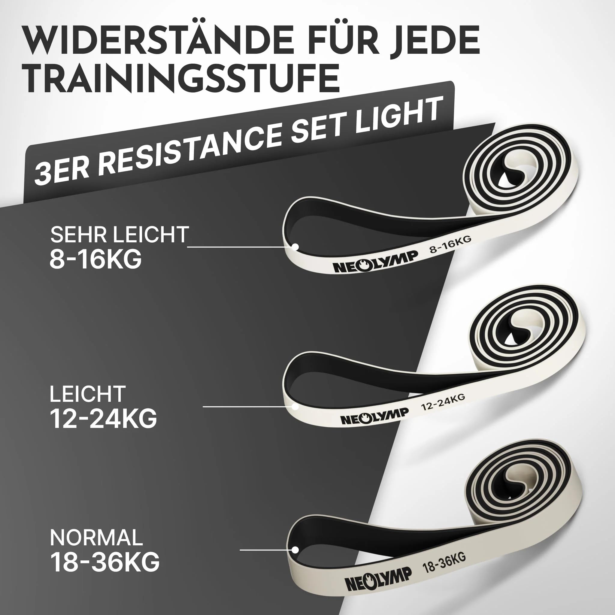 NEOLYMP Calisthenics Set – Komplettset mit Klimmzugstange Türrahmen, Turnringen, Liegestützgriffen, Dip Barren & Resistance Bands – Profi Calisthenics Equipment für Zuhause – Home Gym