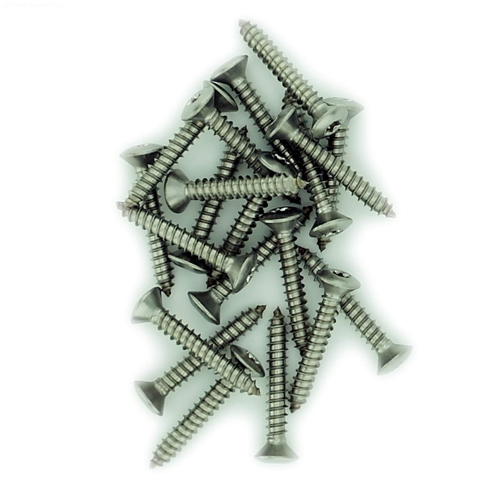 Singularity Supplies Silver No.10 X 0.5 (4.8Mm X 13Mm) Tx Raised Countersunk Self-Tapping Screw - Stainless Steel (A2) (Pack Of 20)