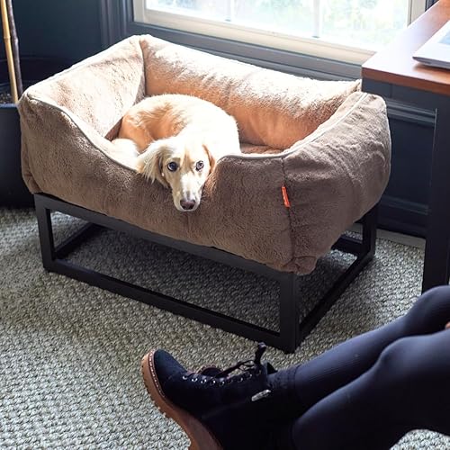 Miniatura 7 de FUZI Cama elevada para perro pequeña, camas elevadas de lujo, funda de cama extraíble y lavable a máquina, cama ortopédica para interiores y Gris