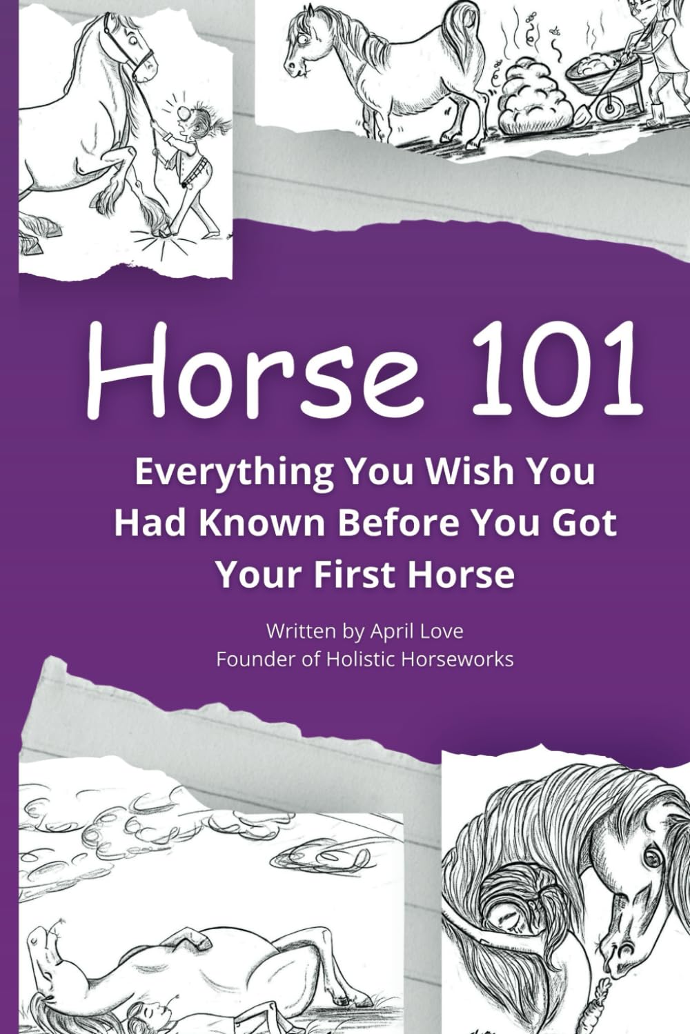 Horse 101: Everything You Wish you Had Known Before You Got Your First Horse (Holistic HorseWorks Remedies Books)