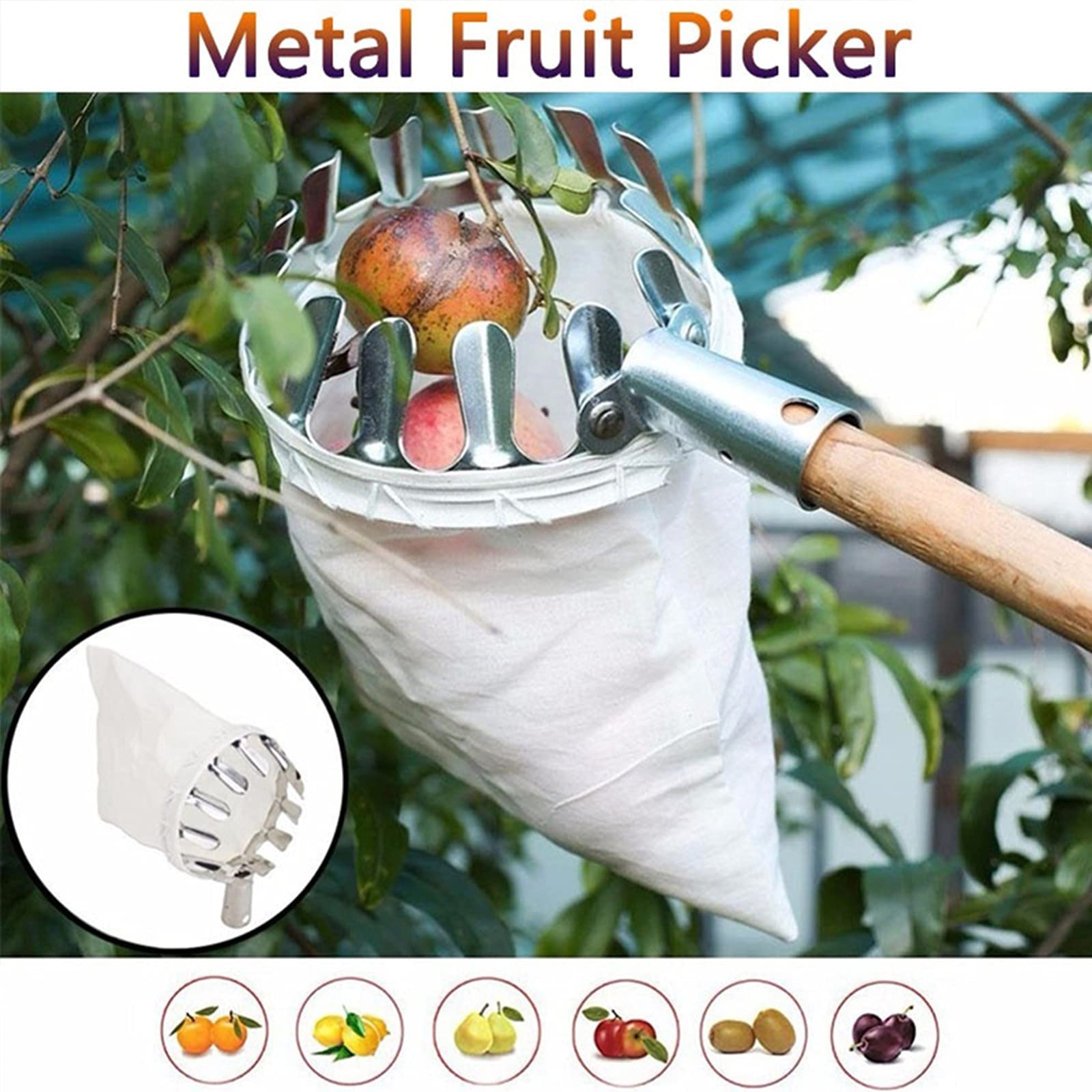 Élagage de Jardin Cueilleur de Fruits Jardinage Poire Outil de Cueillette de Pêches en Métal Collection Longue Distance Outils de Collecte 1 Pc