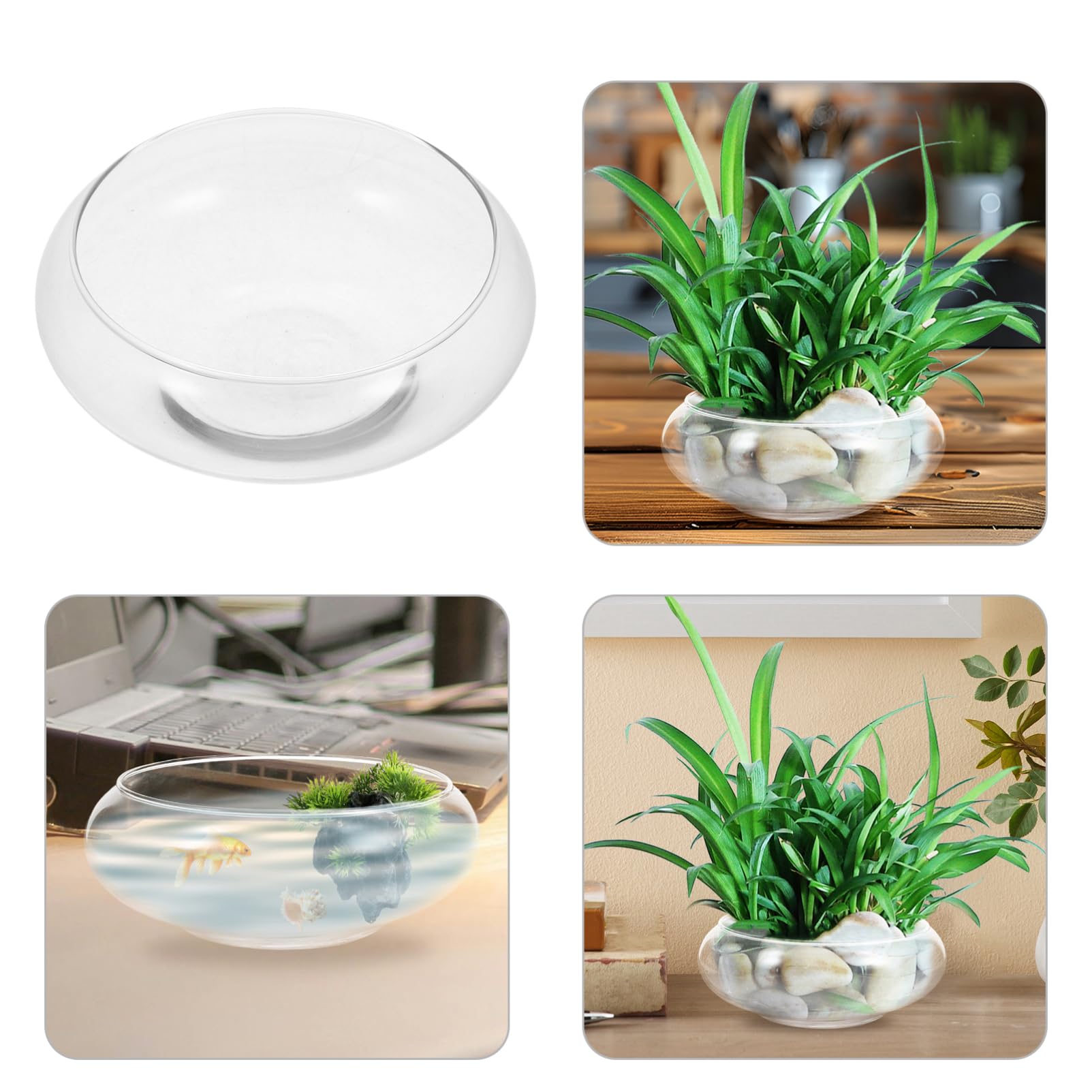 Veemoon Vase Transparent pour Plantes Aquarium Rond pour Décoration Intérieure Terrarium Et De Table Bocal à Et Plantes Hydroponiques