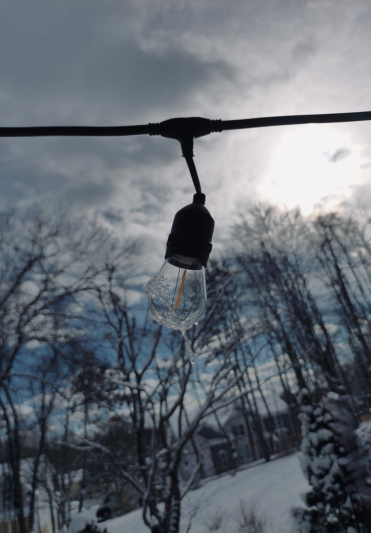 Quality photos, good price.