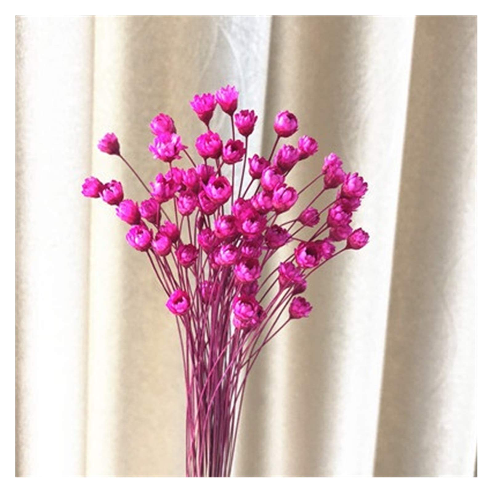 Fleurs séchées pour mariage et décoration maison champêtre chic