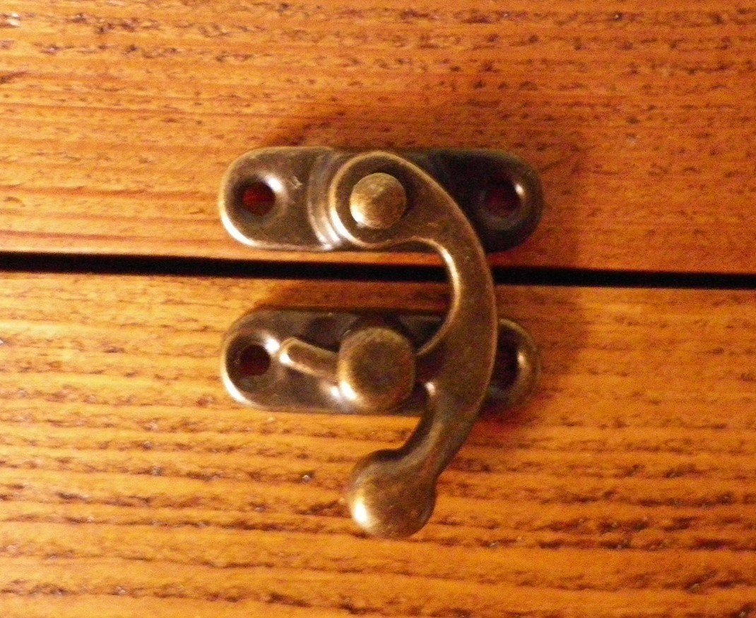 Celtic Woods Bronze Pair Of Buckle Clasps Box Closer Latch Decoration Ornate Finish C024
