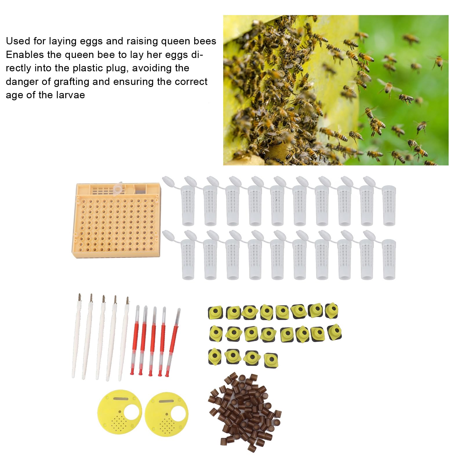 Tissting Kit d'élevage de Reines Abeilles, système de Reproduction avec 110 cellules en Plastique, Outils de greffage, Cadre de Ruche, pour apiculteurs