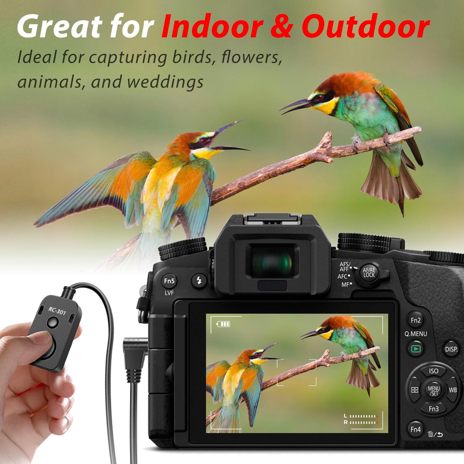 The RC301-DC3 Substitution for Nikon mc-dc3 Remote Release The 150cm/59in Small Remote Control of The Shutter Release Button Z5II/Z50 II/ZR Second-Generation Cameras z50ii /z5 ii (RC301-DC3)