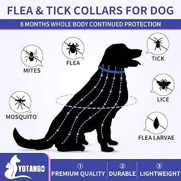 YOTANGO Flea Collar for Dogs, Dog Flea and Tick Collar, 4 Pack, 32 Months | Waterproof, Adjustable, and Lightweight for Dogs and Puppies. Four Collars Offer 32 Months and Start Within 24 Hours.