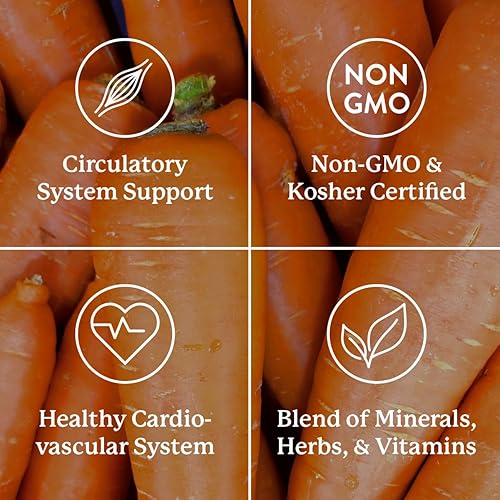 Miniatura 5 de Nature's Sunshine Mega-Chel, 120 tabletas, vitamina completa con potentes antioxidantes, hierbas, vitaminas, minerales y aminoácidos que apoyan el