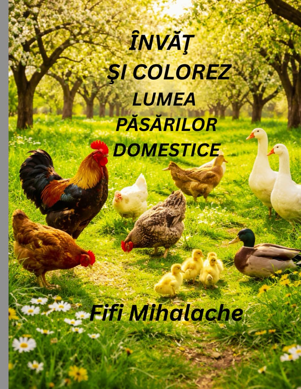 ȊNVĂŢ ŞI COLOREZ LUMEA PĂSĂRILOR DOMESTICE: PENTRU COPII IN VARSTA DE 4-10 ANI