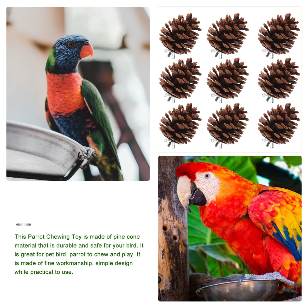 10 Pcs Natural Pine Cones Bird Toys, Parrot Chew Toy for Cage, Wood Foraging Shredding Playthings Conure Cockatiel Parakeet African Grey Macaw Nut Fixed - image 8