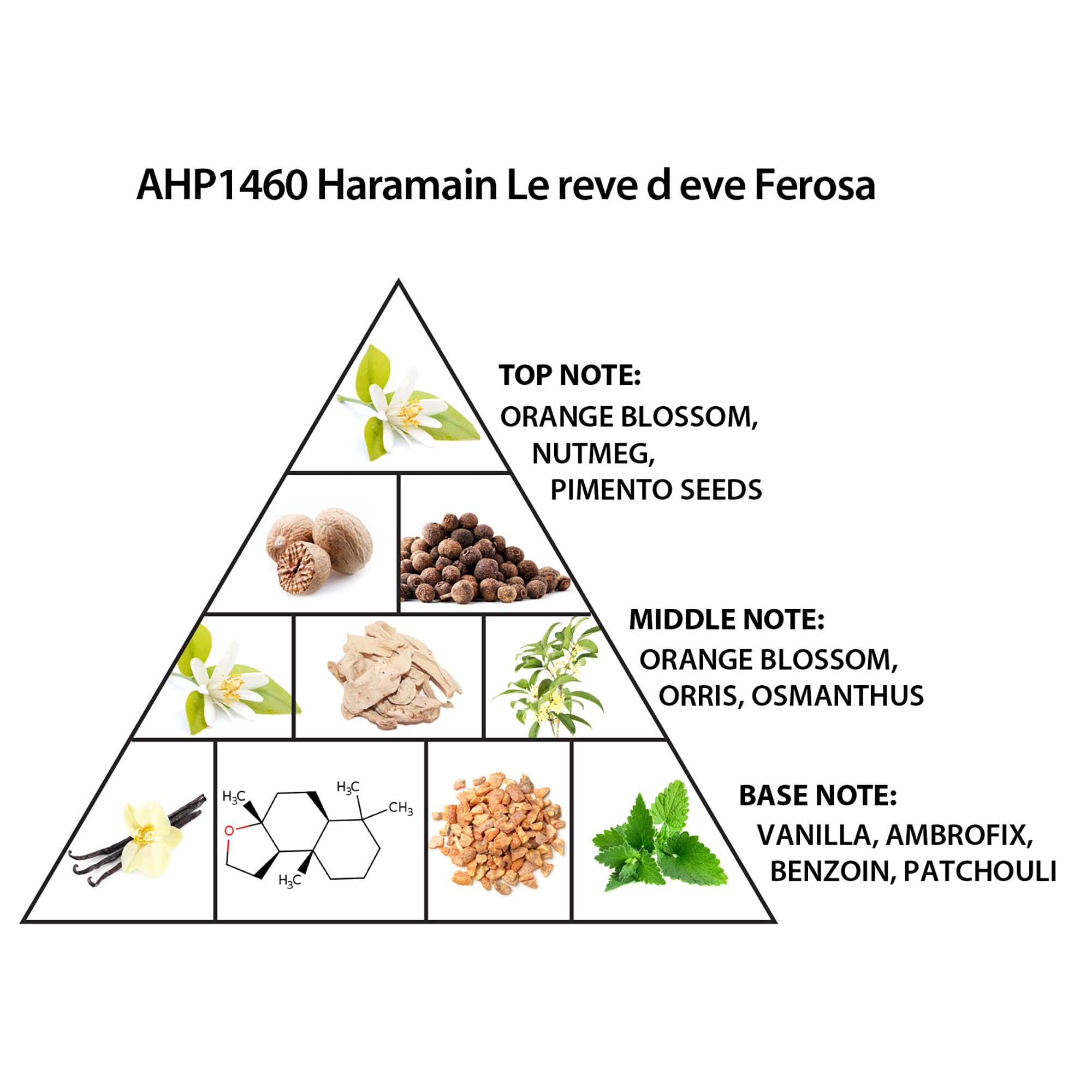 Al Haramain Amber Extrait de Parfum Spray (Chypre), 100 ml