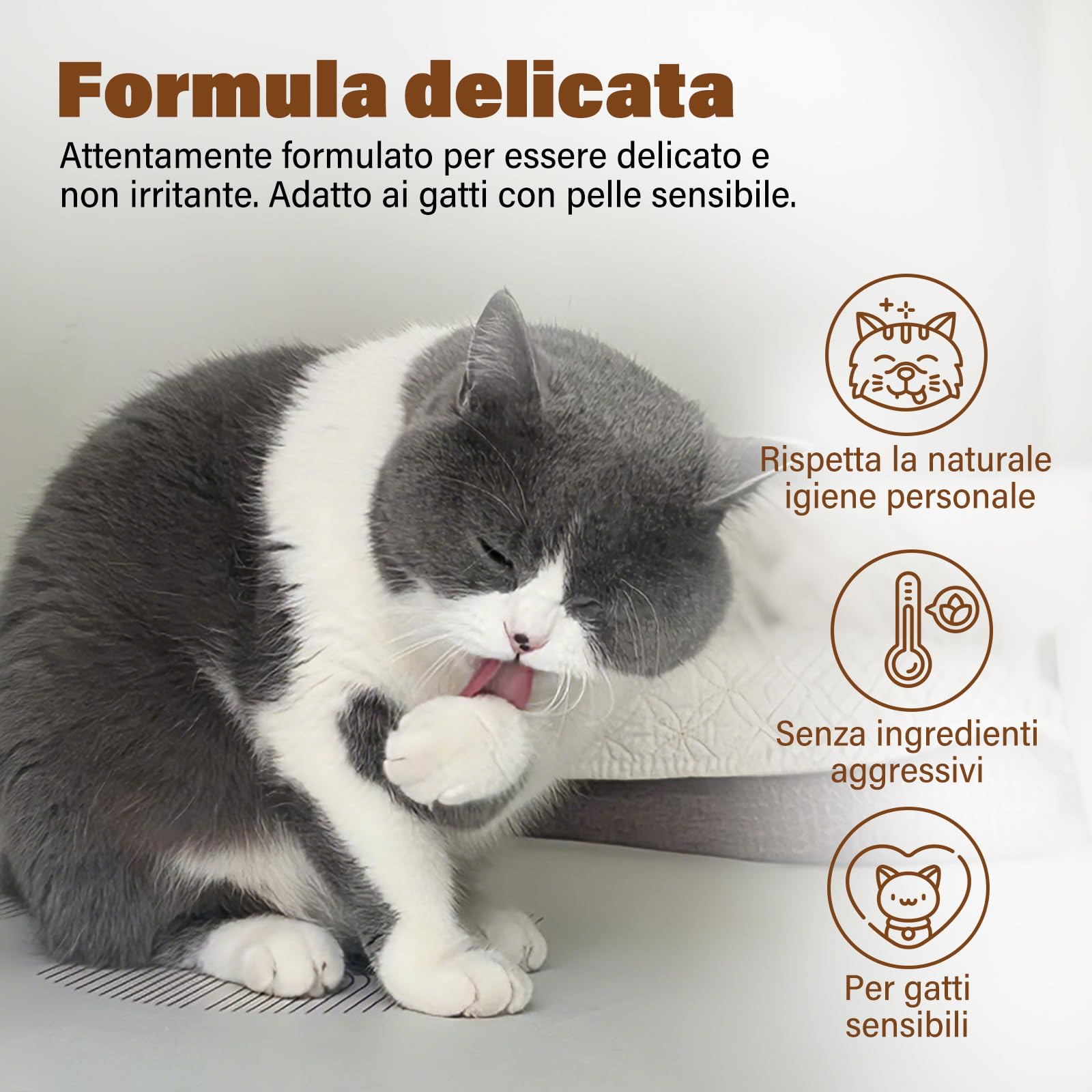 GJYC PET Shampoo secco gatto – 200 ml, profumo di cocco, pH neutro, pulisce e nutre delicatamente, districano e idrata – Adatto per pelli sensibili