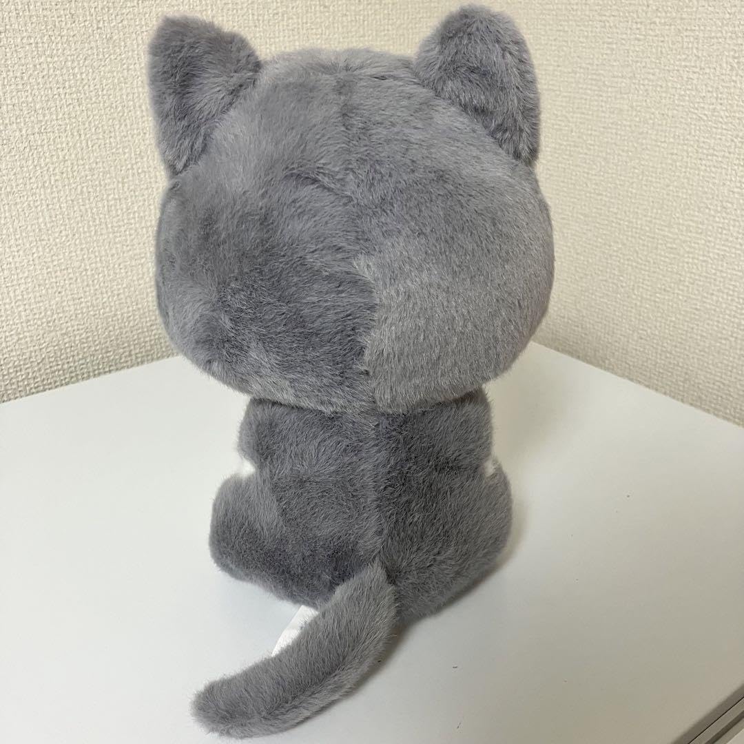 Amazon.co.jp: 限定品 もう手に入らない アニメみたいな目が可愛い猫の