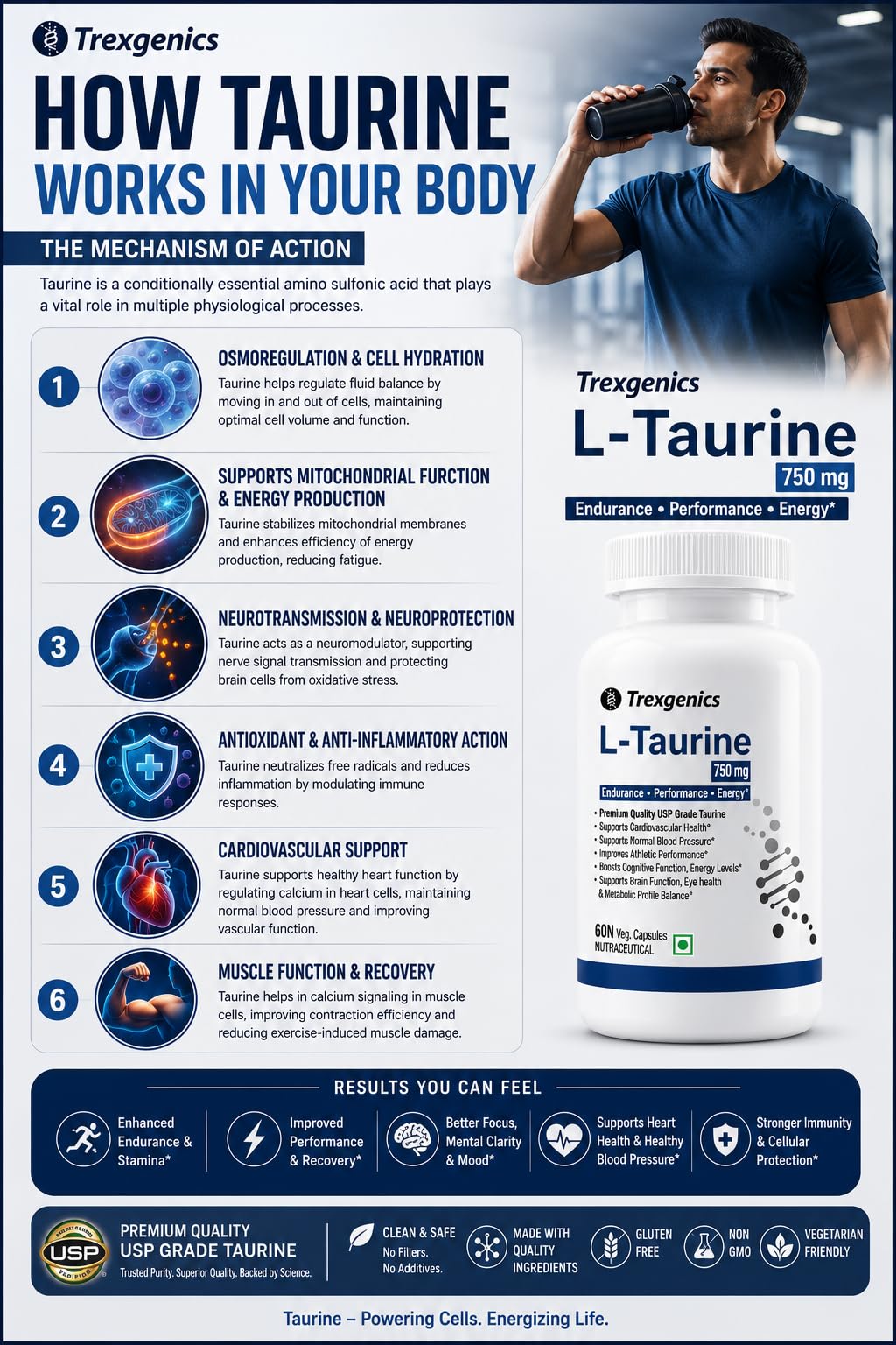 Trexgenics L-TAURINE 750 mg Nervous System, Energy, Heart, Cardiovascular system, Brain, Eye Health Support (60 Vcaps) (Pack of 1) 3