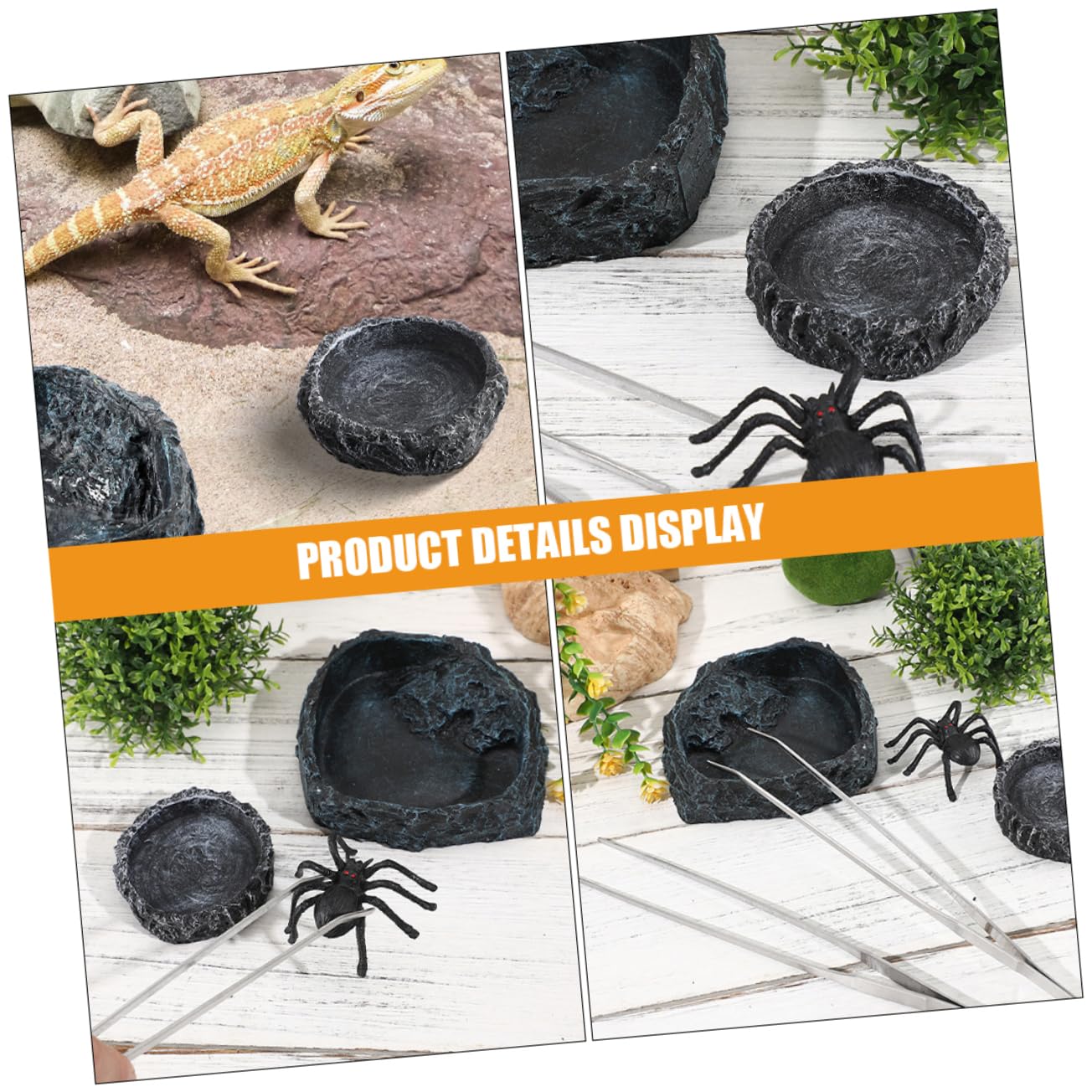 1set Ciotole per Reptili Ciotola per Tartarughe Ciotola per Cibo Rettili con Pinzette Accessori per Terrario e Alimentazione di Lucertole e
