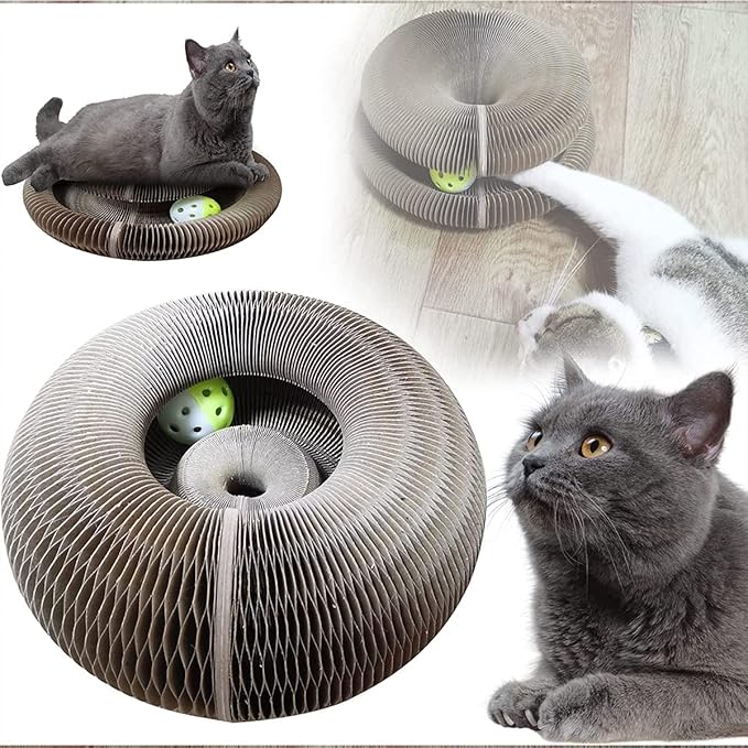 Magic Organ Cat Scratching Board, Cat Toy with Toy Bell