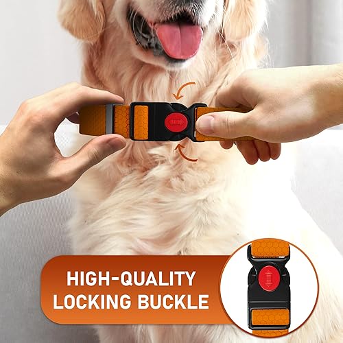 Miniatura 4 de NexaPaw Collar ajustable para perro con hebilla de bloqueo de seguridad, fabricado en Estados Unidos, collar de perro resistente al agua con panal