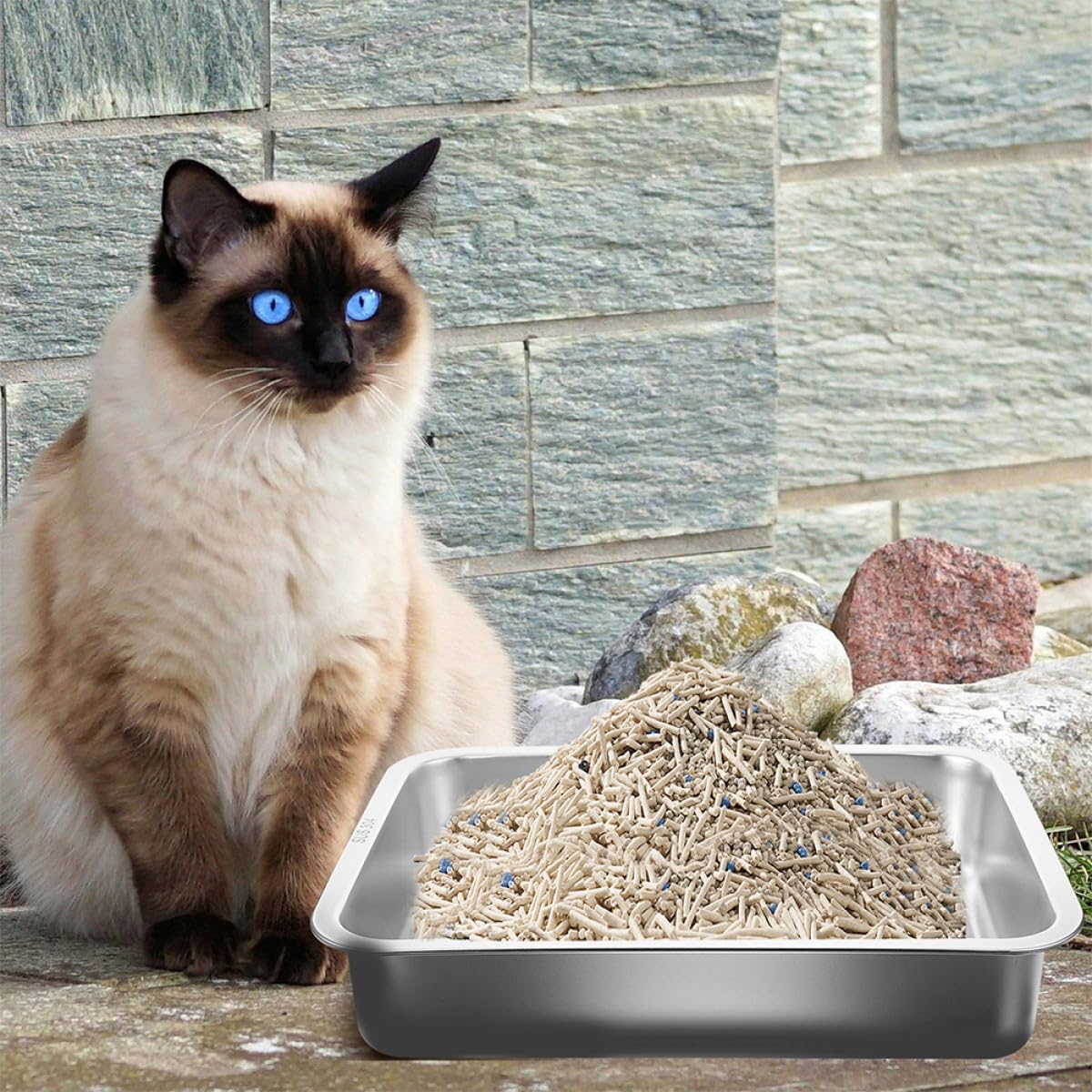 Robuste Katzentoilette aus Edelstahl und Stabilem Boden Geruchsneutral und Klebefrei mit Offenem Design für Kleine Katzen und Kätzchen