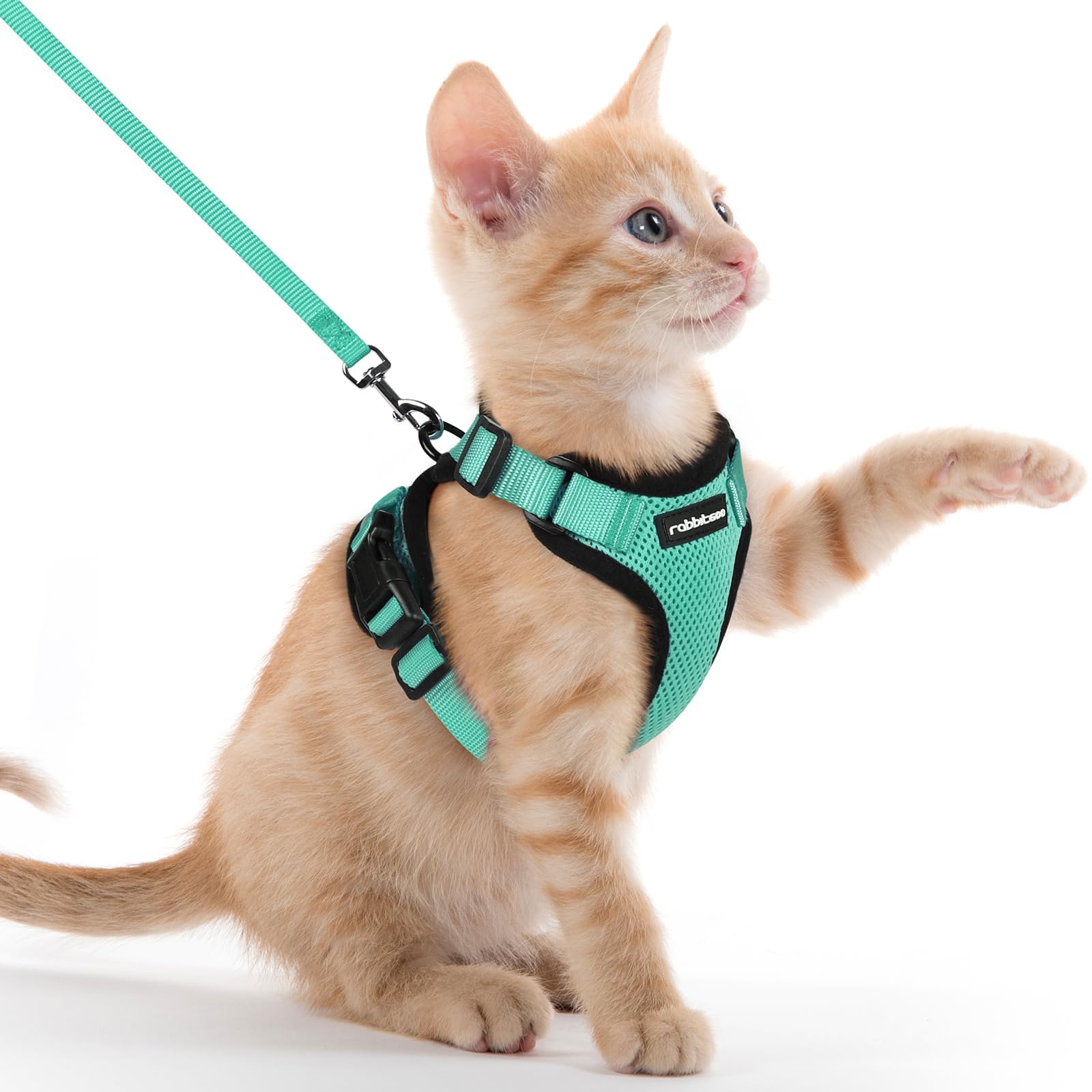 rabbitgoo Pettorina Gatto Antifuga con Guinzaglio, Guinzaglio per Gatti Regolabile, Pettorina Cane Taglia Piccola Riflettente, Imbracatura Gatto Adulto in Maglia Traspirante per Camminare, Verde, XXS