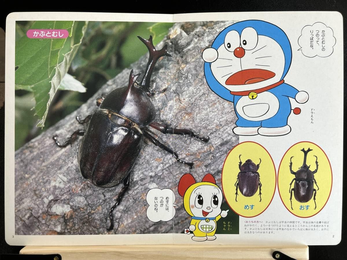 ドラえもん五冊 ドラえもん 5 50周年記念スペシャル版（藤子・F・不二雄