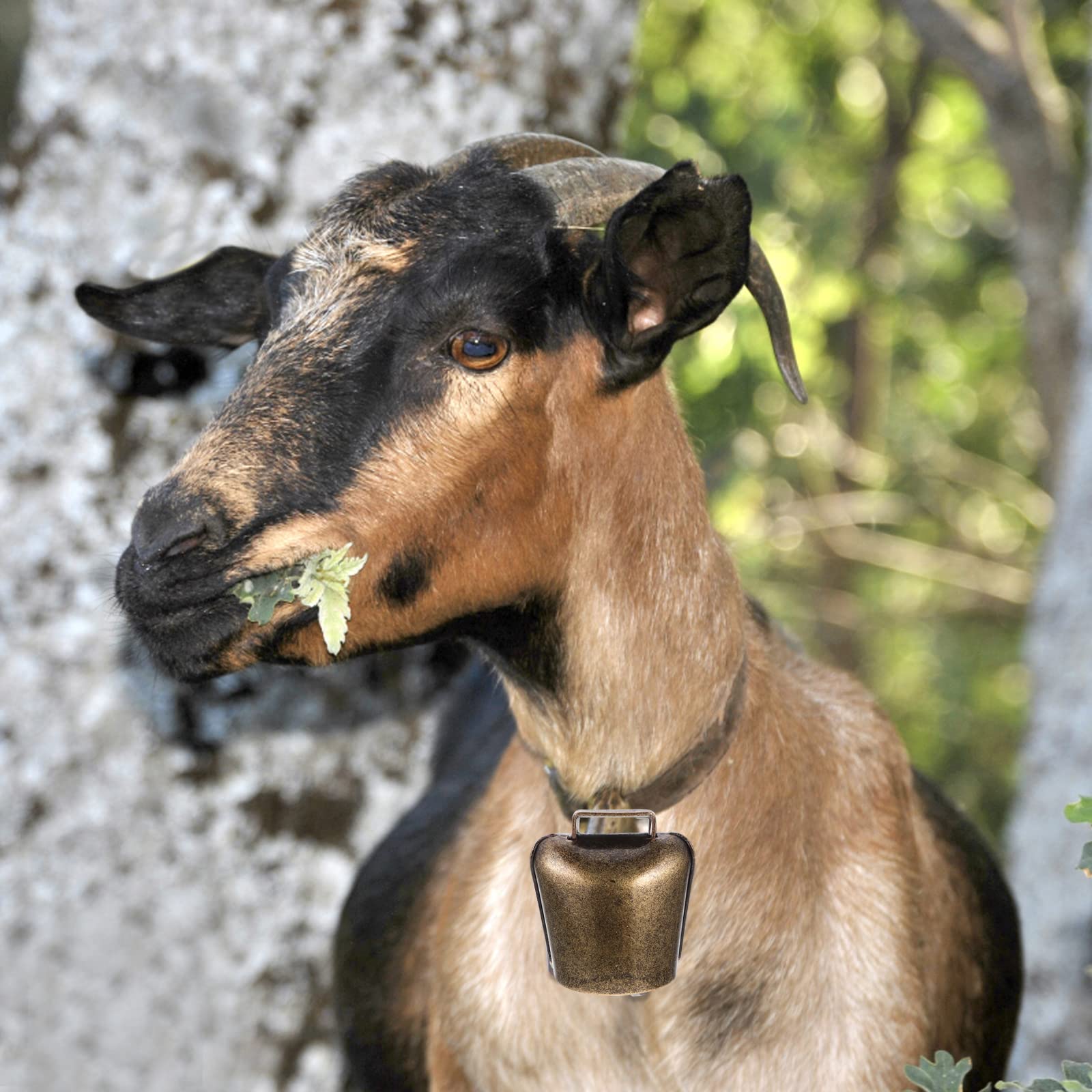 GARIOUANS Viehglocken Aus Eisen - 2 Stück Robuste Bronzeglocken Für Tiere