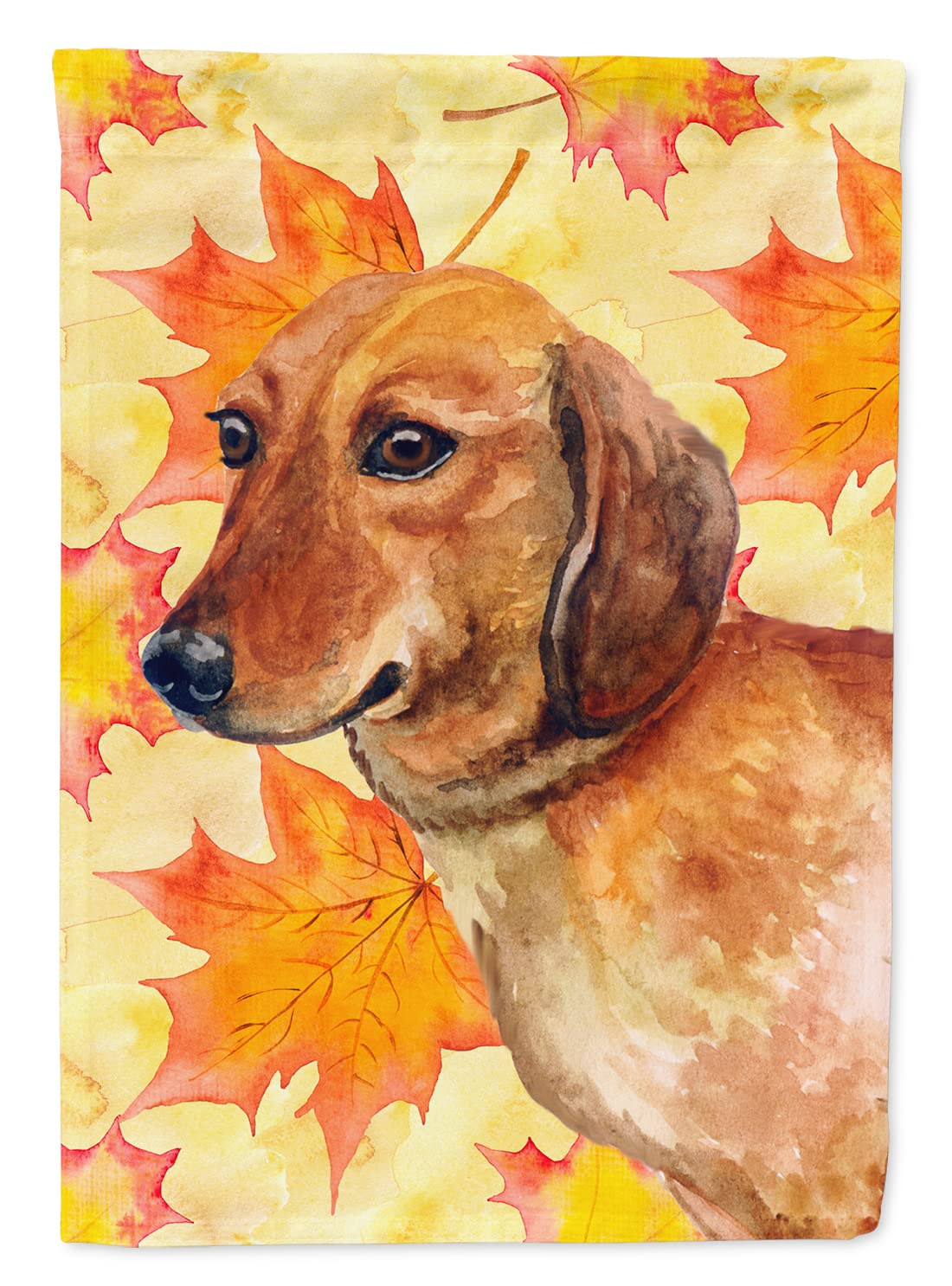 Dachshund Fall Flag Caroline's Treasures : Grand Drapeau de Maison pour Remplacer une Déco Ternie