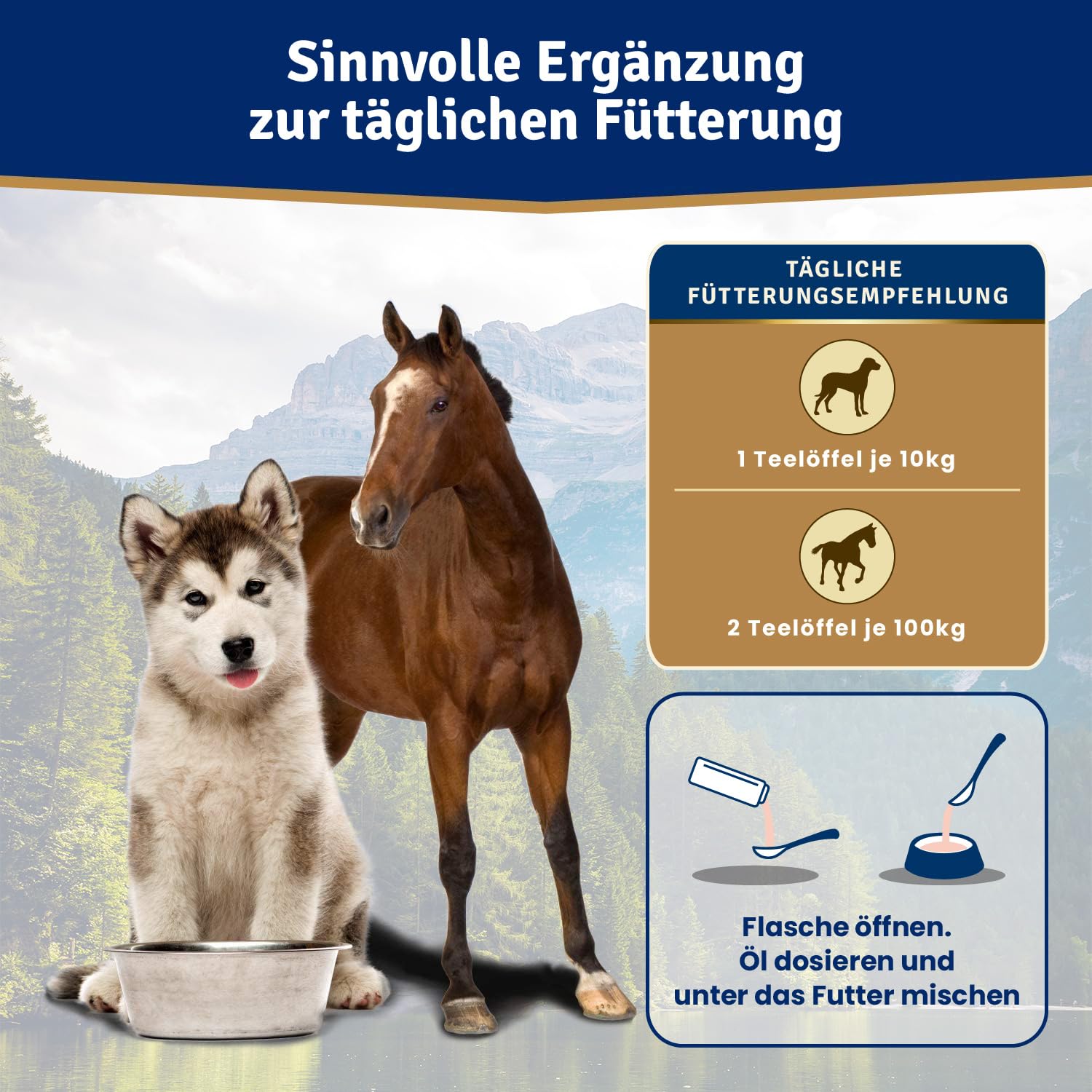 Veddelholzer Lachsöl für Hunde 1 Liter in recycelbarer Weißblechdose Ideale Hochwertige Nahrungsergänzung Mit Omega3 Fettsäuren & Vitamin E Nachhaltiges Fischöl für Hund Pferd & Umwelt