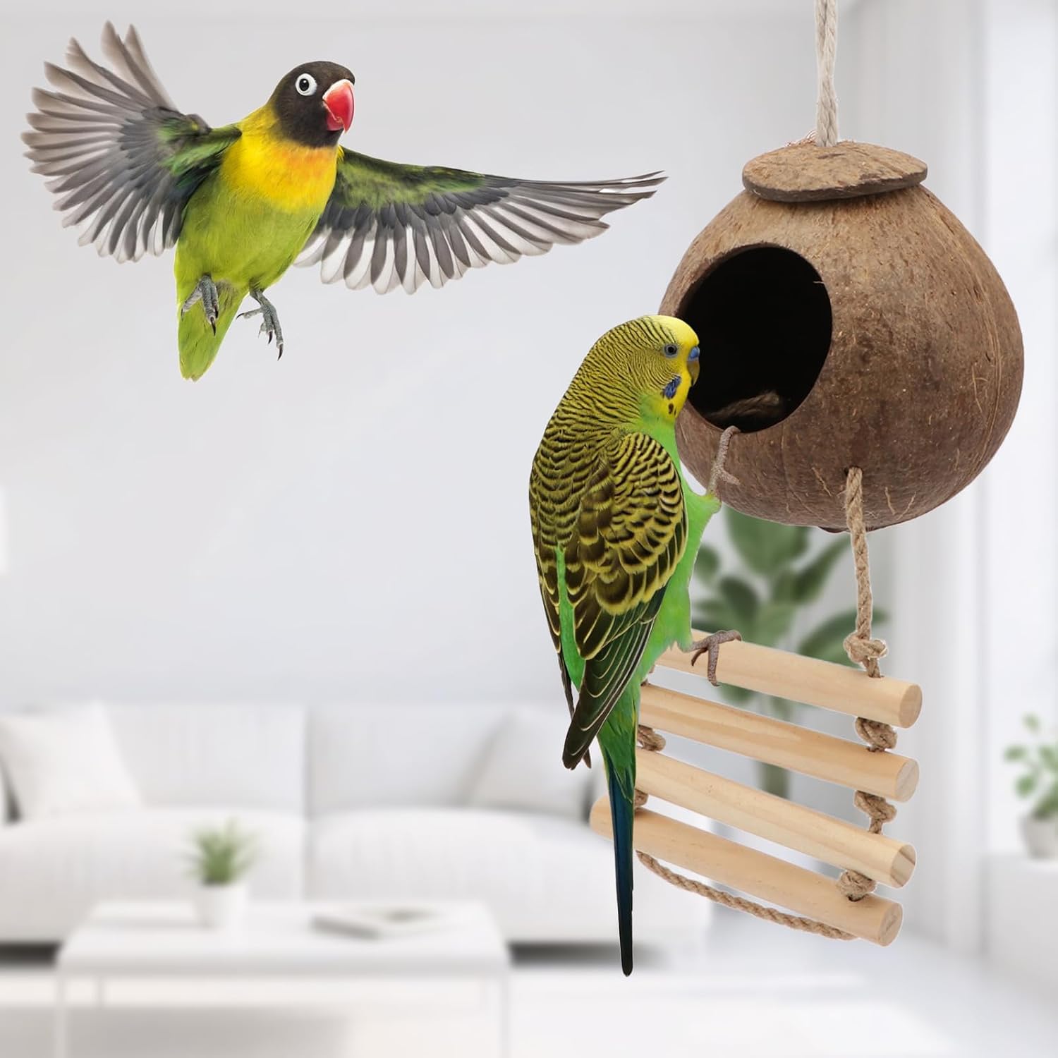 Hypeety Pet Bird Breeding Nest Natural Coconut Bird Hideout Hut for Cage image 4