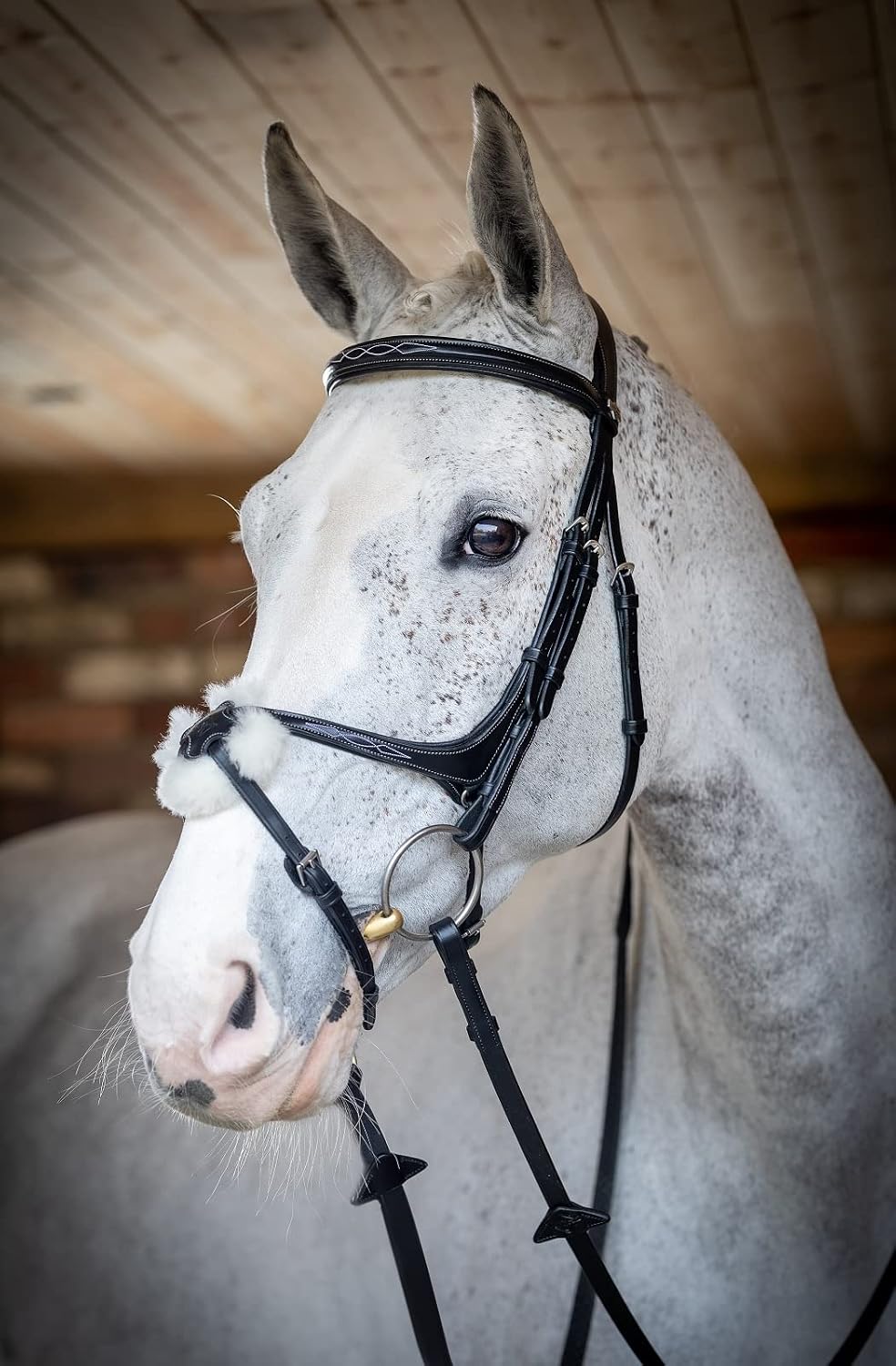 LeMieux Kudos Grackle Bridle