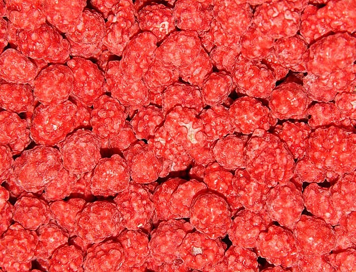 Red French Burnt Peanut Old Fashioned Hard Candy Coated Roasted Peanuts (5 Pound)