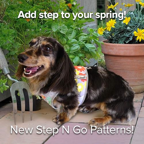 Miniatura 2 de Cloak & Dawggie  Arnés de nailon Step-N-Go para perro pequeño con taza de té de hasta 25 libras  Chaleco fácil de poner y ajustable  Chaleco