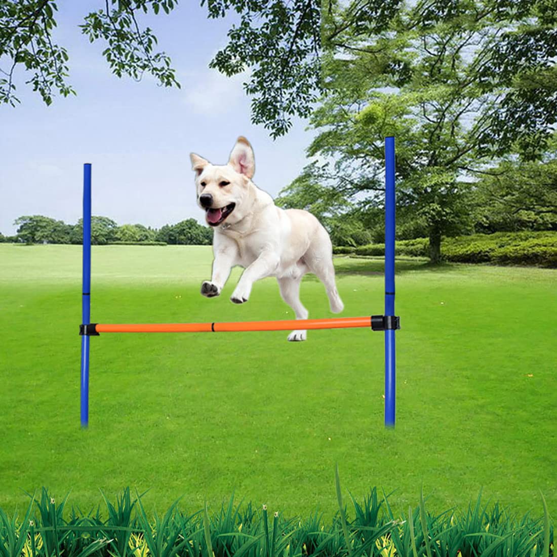Corsi a ostacoli Addestramento Attrezzature per principianti, Attrezzature per l'agilità del cane, Giochi all'aperto per animali domestici per il cortile, Interazione con animali domestici, Mantieni