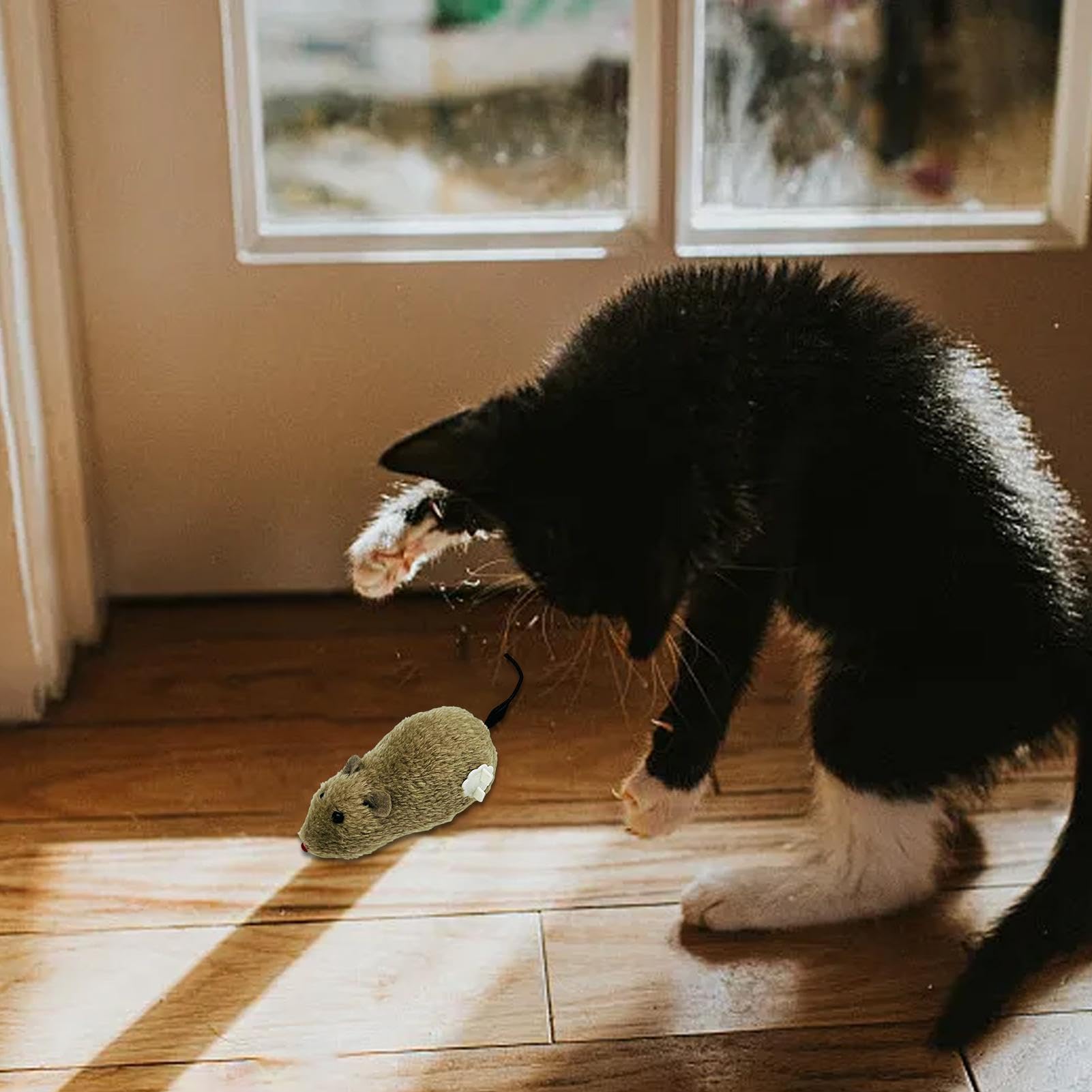 Kattenspeelgoed opwindbaar - Dierenbenodigdheden online