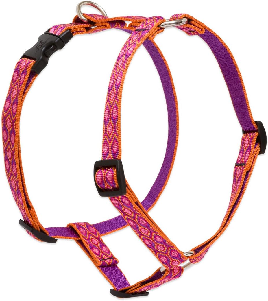 LupinePet Originals 3/4" Alpen Glow 20-32" Adjustable Roman Dog Harness for Medium Dogs