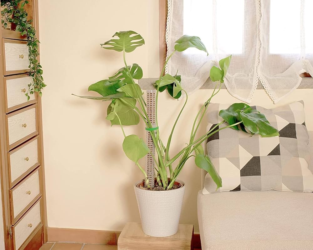 モスポール鉢5.5号3個 黒20cmモスポール水苔入り9本 半月型