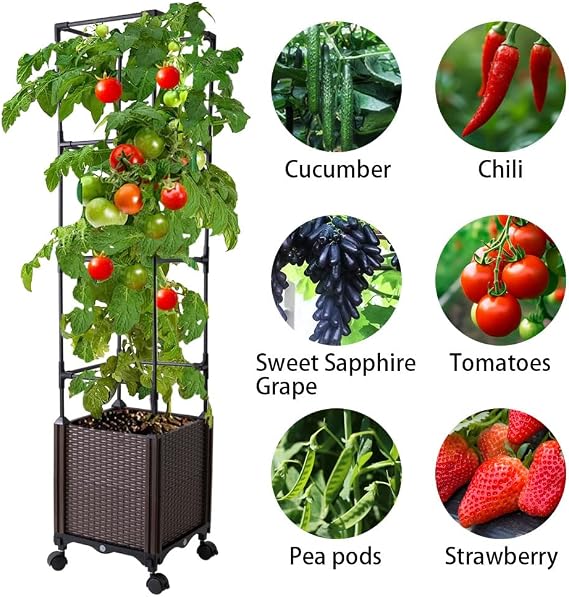 Raised Garden Bed with Tomato Cage & Trellis, 56 Self-Watering Tomato Planter Box for Vegetables Flowers | Lockable Wheels, Vertical Gardening | Indoor Outdoor Patio Use, Easy Assembly