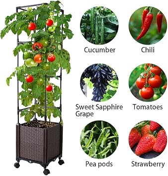 Raised Garden Bed with Tomato Cage & Trellis, 56 Self-Watering Tomato Planter Box for Vegetables Flowers | Lockable Wheels, Vertical Gardening | Indoor Outdoor Patio Use, Easy Assembly