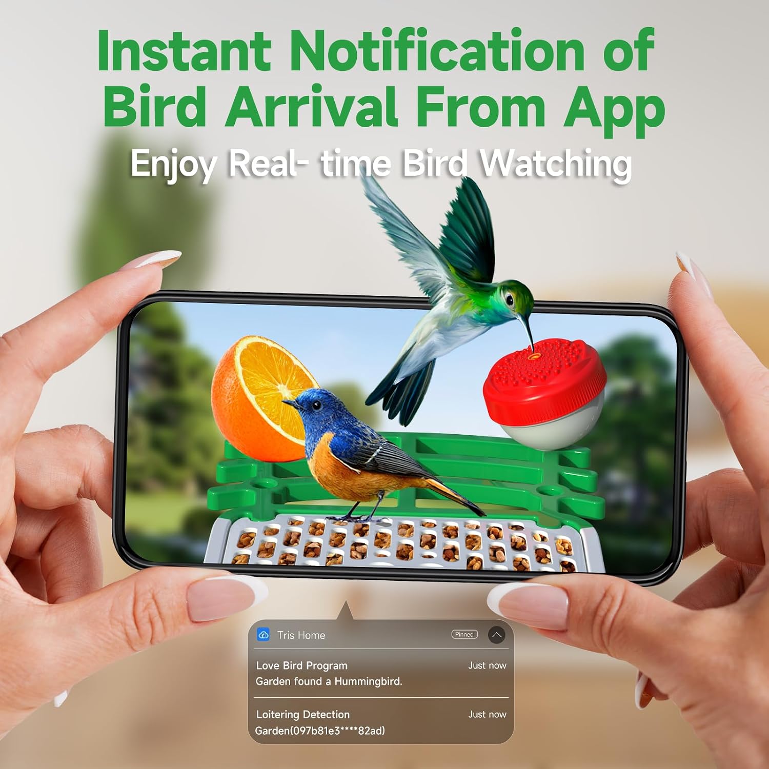 Bird Feeder with Camera, GTSABWAY Smart AI Identify Birds Camera with Solar Powered, Wireless Auto Record 1080P Birds Video in Backyard, Instant Notifications - Green1