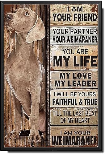 Letrero de metal, letrero de hojalata vintage, arte de pared con texto en inglés "I Am Your Friend", regalo para los amantes de Weimaraner,