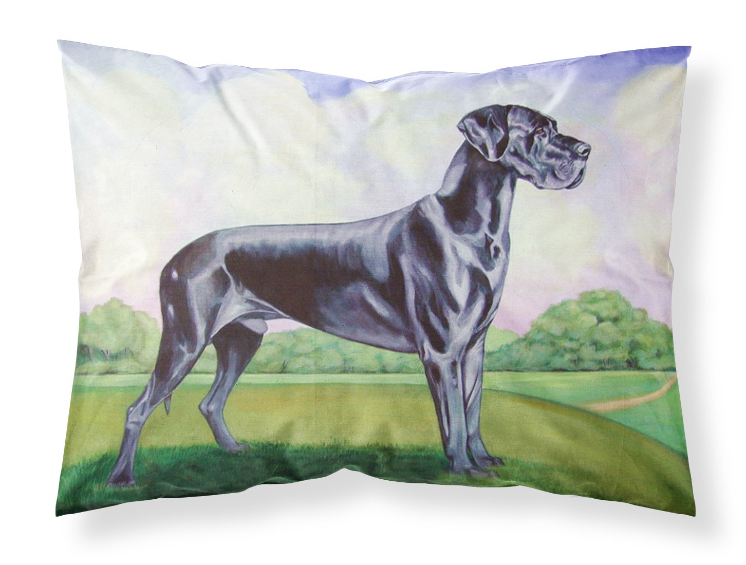 2 Fundas De Almohadas Estándar Premium 51x76cm Dormireal