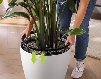 Lechuza 14280 Classico Color LS 35 Self-Watering Planter, White