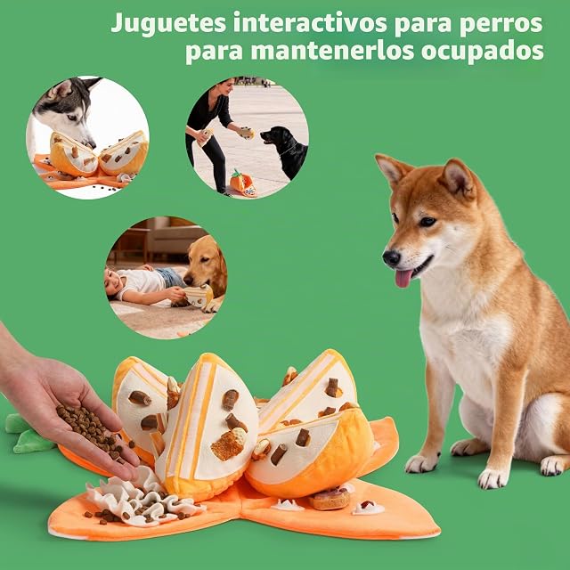 Foto 7 de 8 de Nocciola Juguete chirriante Interactivo para Perros, 5 en 1, Tema Naranja